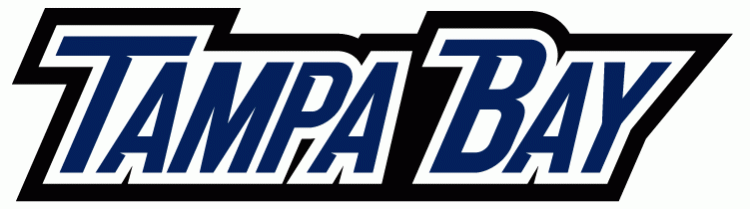 Tampa Bay Lightning 2007-2010 Wordmark Logo iron on transfers for fabric